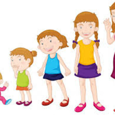 Timeline: Erikson Timeline; Sarah