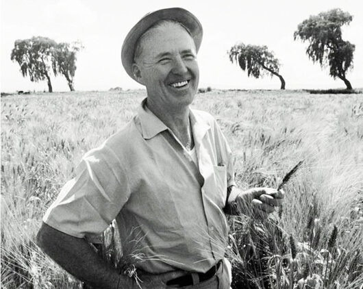 Comienza la revolución verde.