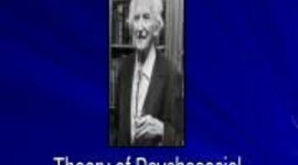 Timeline: Erikson Timeline