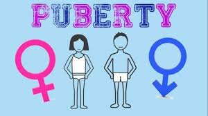 Identity vs Role Confusion