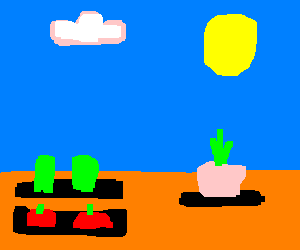 What we will do this lesson: