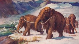 Timeline: PREHISTÒRIA