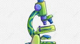 Timeline: MICROSCOPIO