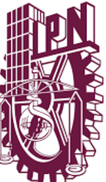 Etapa de Consolidación, SigloXX