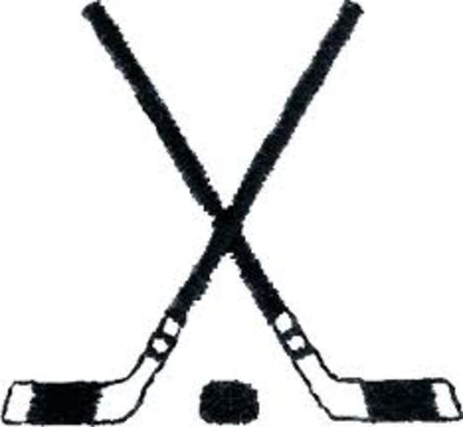 EL partido de hockey