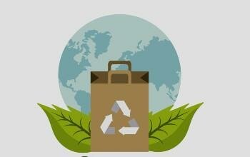 Desarrollo Sustentable