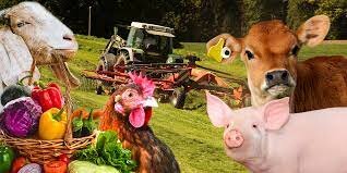 El T-MEC en los últimos dos trimestres de 2020