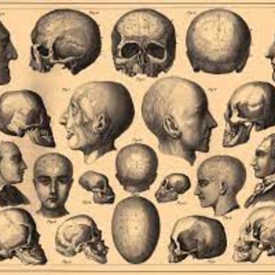 Timeline: LA NEUROPSICOLOGÍA EN EL TIEMPO