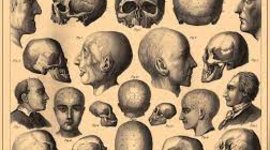 Timeline: LA NEUROPSICOLOGÍA EN EL TIEMPO