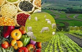 Primer Trimestre 2021