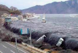 The Sea of Japan Tsunami