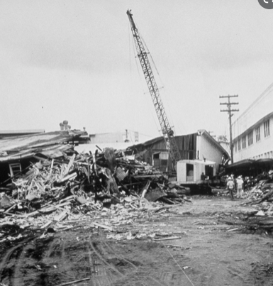 Great Chilean Earthquake