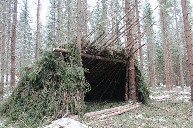 Shelter Build