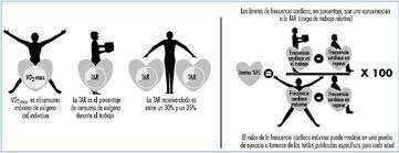 LEYES DE GASTO ENERGETICO