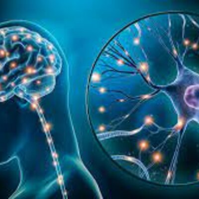 Timeline: LA NEUROPSICOLOGIA EN EL TIEMPO