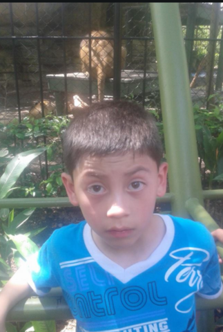 my first time in a zoo