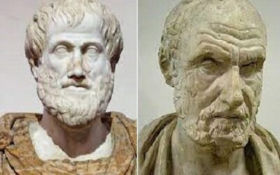 Estudios Anatómicos