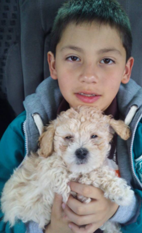 my first pet, who has already died