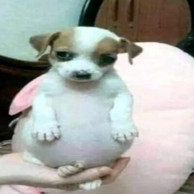 Timeline: LINEA DE TIMEPO