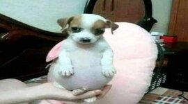 Timeline: LINEA DE TIMEPO