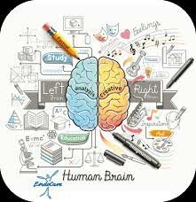 LA NEUROPSICOLOGIA EN LA ACTUALIDAD