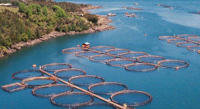 Ley General De Pesca Y Aquacultura Sustentables