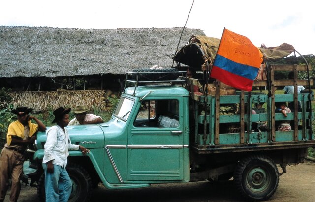 Last Trip to the Jungle