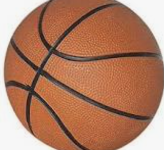 Martin Becomes Captain of His Basketball Team: Industry vs. Inferiority