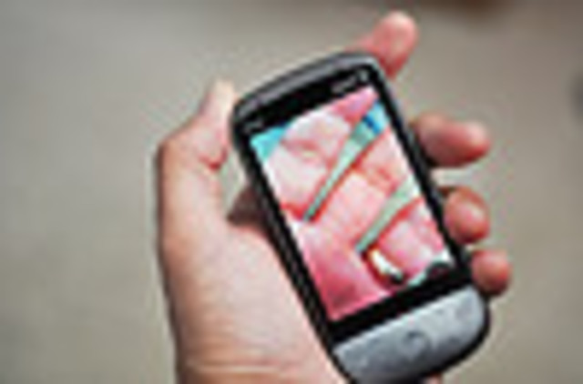 Web Intergation to cell Phone