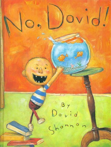 No! David by David Shannon