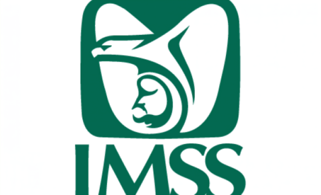 se crea imss