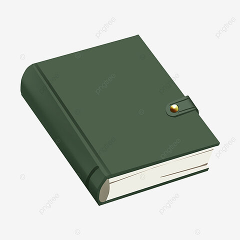 Libro Verde sobre el RS