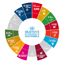 Se crean los objetivos del desarollo sustentable