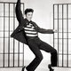 Elvis presley jailhouse rock