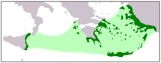 Civilització minoica