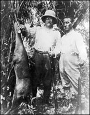 Teddy Roosevelt's Jungle Journey