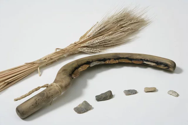 Agricultura i ramaderia (8.000 anys aC)