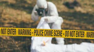 succes around the world