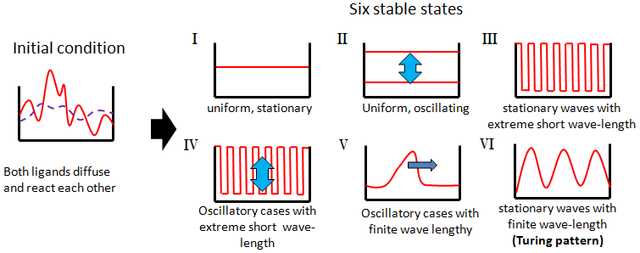 Biologia matemàtica