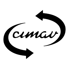 Creación del Centro Internacional de Nanotecnología y Materiales Avanzados (CINMA).