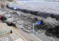 The Japan Tsunami