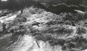 Aleutians Tsunami- Alaska