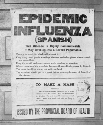 The Spanish Flu
