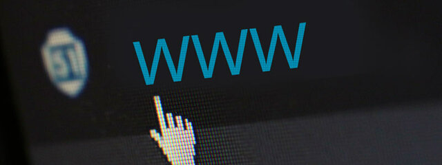 World Wide Web ( WWW)