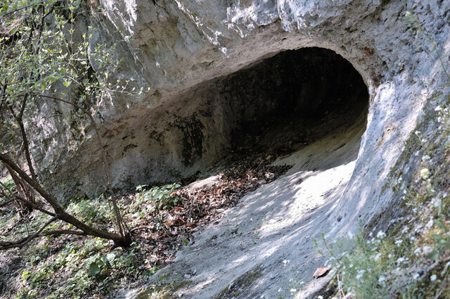 Brian makes his shelter