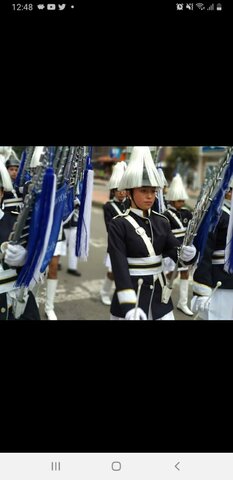 Banda De Honor Del Colegio