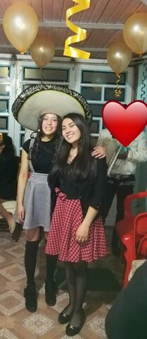 mis 15