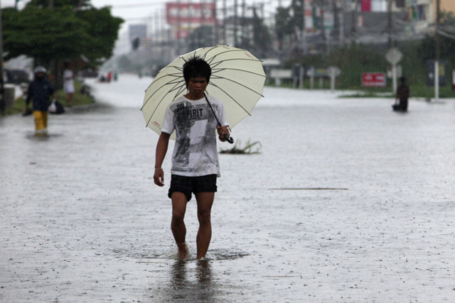 Western Digital Says Thai Flooding To Cut Sales, Result in Quarterly Loss