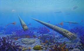 Extinción del Ordovícico 445 millones de años