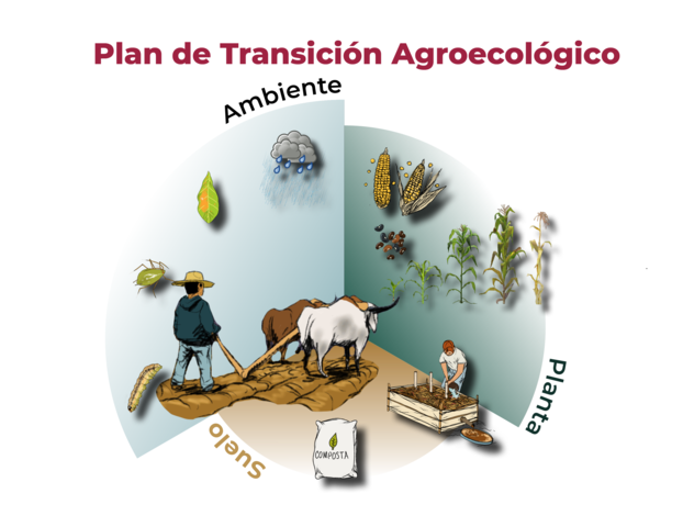 Diseño del Plan de Transición agroecológico
